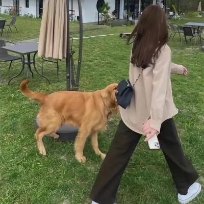 伪装大师1：维多女人